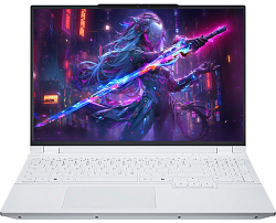 Firebat 16PRO 16.0 Ryzen 9 8940HX 16GB SSD 1Tb